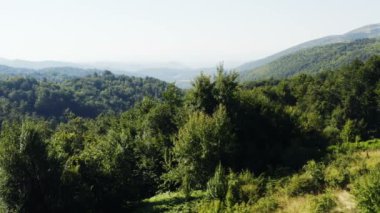 Tepe yeşili manzaralar. Uzakta bir sis bulutu. İHA görüntüsü sola doğru hareket ediyor.