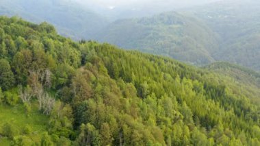 Bulutlu bir günde üzerinde kalın yeşil bir orman bulunan engin bir kırsal arazi üzerinde İHA ile uçmak