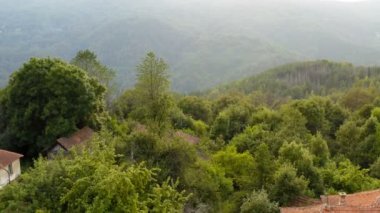 Bulutlu ve sisli bir günde, engin bir dağ arazisinde, sık bir ormanın üzerinde bir dronla uçmak.