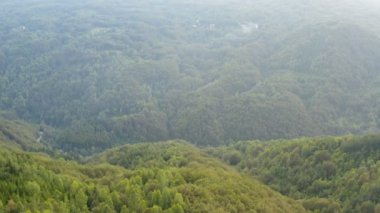 İnsansız hava aracıyla engin kırsal bir dağ arazisinde uçmak, yüksek bir dağın yamacını kaplayan kalın bir orman.