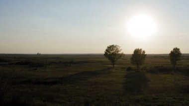 Engin tarlalar üzerinde bir dronla uçmak ve arka planda manzaralı ve görkemli bir günbatımı olan üç ağaç.