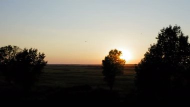 İHA 'yla büyük bir arazide bir çift ağaçla uçmak. Panorama' nın arka planında günbatımı var.