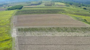 Meyve tarlası ve üzüm bağları, İHA görüntüsü geri gidiyor
