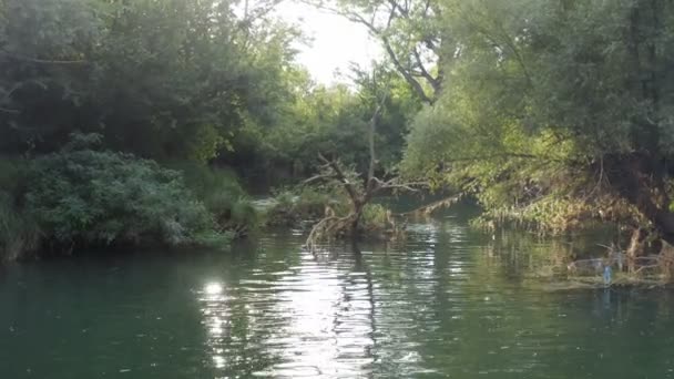 Niski Lot Dronem Nad Małą Wiejską Rzeką Kilkoma Drzewami Pniami — Wideo stockowe