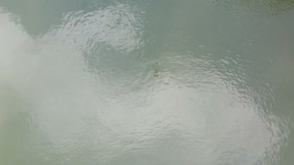 무인기로 경치가 아름답고 아름다운 물위를 저공비행하는 장면이 시골의 떨어진다 — 비디오