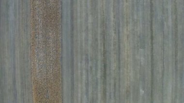 Ekili alanların üstünde uçuş. Havadan üst görüş. Tarım alanlarının üzerinde alçak uçuş, 4K