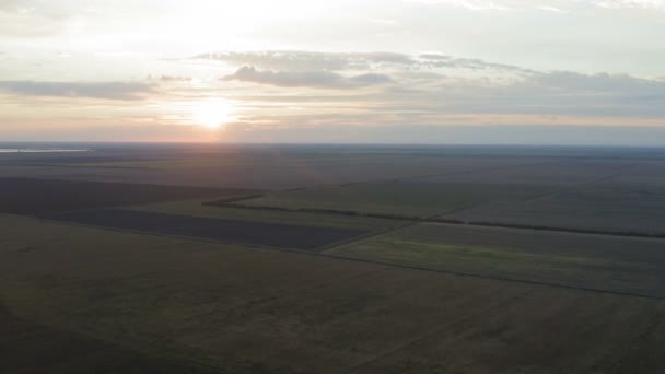 Flug Über Landwirtschaftliche Felder Bei Sonnenuntergang Landwirtschaft Landbewirtschaftung Konzept Der — Stockvideo