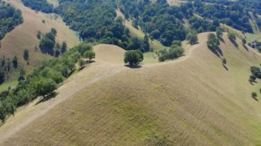 Güneşli bir yaz gününde tepesinde toprak bir yol olan dağ tepelerinin havadan çekilmiş görüntüleri.