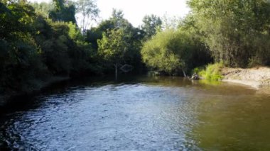 Yeşil ormanlarla çevrili küçük nehrin yukarısındaki suya yakın uçmak