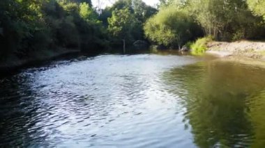 Ormanla çevrili küçük nehrin üzerinde hareket eden bir kamera.