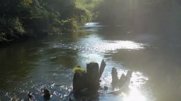 Drone Menembak Dari Tunggul Sungai Liar Dengan Matahari Dalam Refleksi — Stok Video