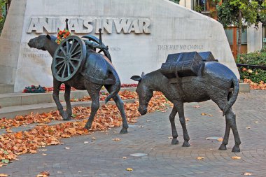 Savaş Anıtı için tüm hizmet ve Tarih boyunca İngiliz askeri komutası altında ölen hayvanların Hyde Park'ta London, Büyük Britanya - 7 Ekim 2011: hayvanlarda