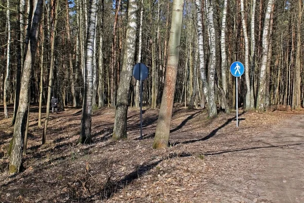 Sendero a pie en el parque forestal de la ciudad —  Fotos de Stock