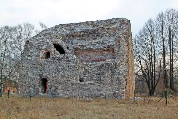 Castello di Daugavgr Liguva a Riga, Lettonia — Foto Stock