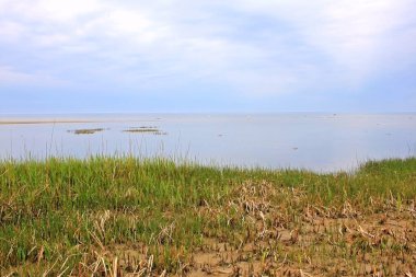 Baltık Denizi kıyısında