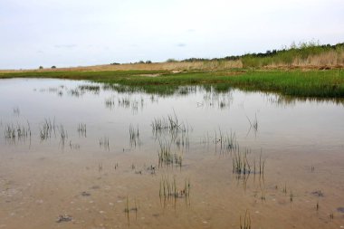 Baltık Denizi kıyısında