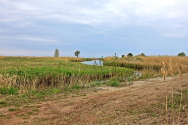 Baltık Denizi kıyısında