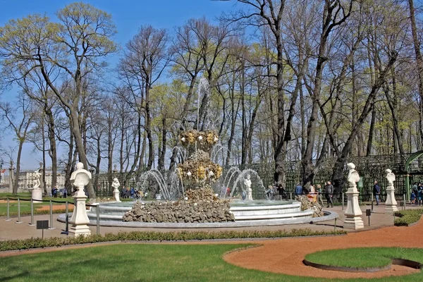 Yaz Bahçesi, Saint-Petersburg, Rusya