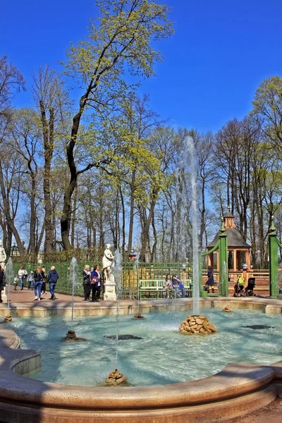 Zomertuin in Sint-petersburg, Rusland — Stockfoto