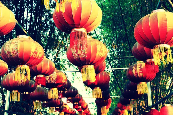Chinese Lunar New Year Lights & Decoration