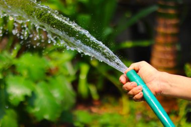 Bir kadın eli yeşil su hortumu bahçedeki bitki ve çiçekler sulama tutarak - botanik, ekolojik ve çevresel kavram