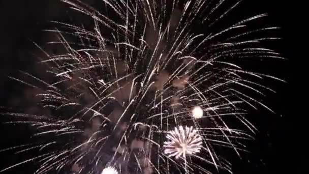 Colorful Fireworks Display Wonderful Fireworks Background Magnificent Holiday Fireworks Celebration — Stock Video