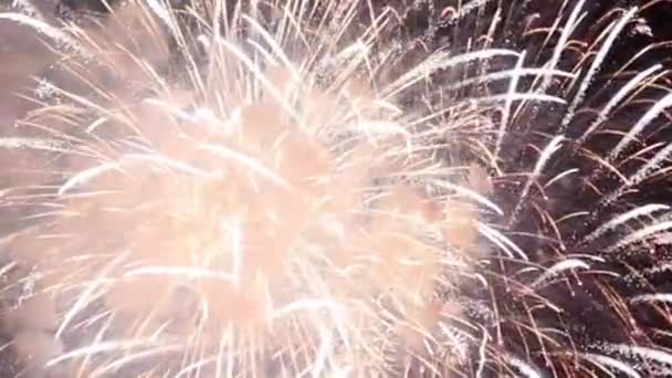 Colorful Fireworks Display Wonderful Fireworks Background Magnificent Holiday Fireworks Celebration — Stock Video