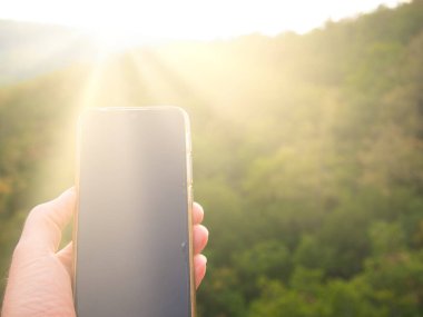 Akıllı telefon, arka planda sonbahar ormanı olan bir elde, doğa, ağaçlar.. 