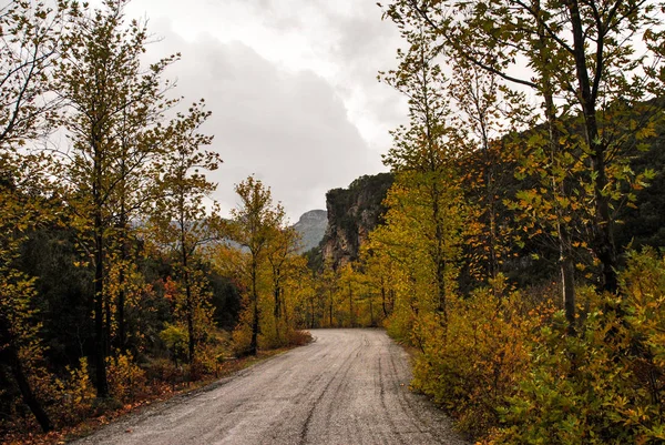 Autumnal colors along countryside road on mount Taygetus. Peloponnese region, southern Greece.