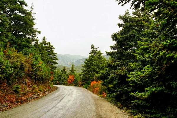 Podzimní Barvy Podél Venkovské Cestě Horu Taygetos Peloponés Region Jižní — Stock fotografie