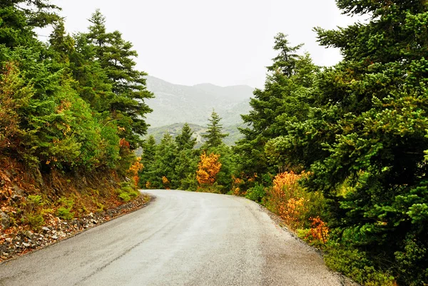 Sonbahar renkleri mount Taygetus yolda kırsal boyunca. Peloponnese bölgesi, Güney Yunanistan.