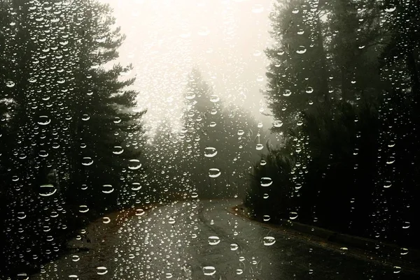 Gouttes Pluie Sur Fenêtre Voiture Forêt Pins Jour Pluvieux Automne — Photo