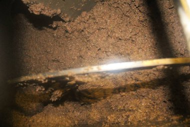 Yunanistan 'ın Atina kentinde plastik çöp kutuları atılıp istiflendi.