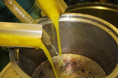 Yunanistan 'ın Atina kentinde plastik çöp kutuları atılıp istiflendi.