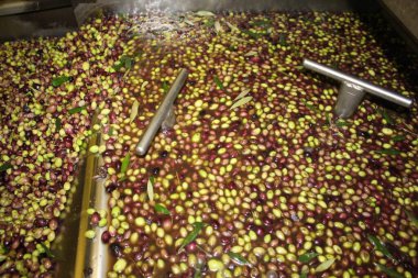 Yunanistan 'ın Atina kentinde plastik çöp kutuları atılıp istiflendi.