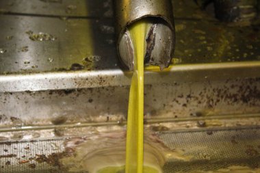 Yunanistan 'ın Atina kentinde plastik çöp kutuları atılıp istiflendi.