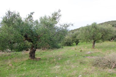 Yunanistan 'ın Atina kentinde plastik çöp kutuları atılıp istiflendi.