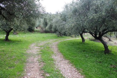 Yunanistan 'ın Atina kentinde plastik çöp kutuları atılıp istiflendi.