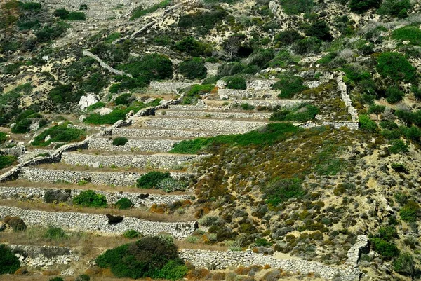 Πλαστικοί Κάδοι Απορριμμάτων Πεταμένοι Και Στοιβαγμένοι Στην Αθήνα — Φωτογραφία Αρχείου