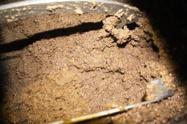 Yunanistan, Attica ve zeytin ezmesi zeytinyağı fabrikasındaki ekstra bakire zeytinyağı çıkarma sürecinde malaxation tankında.