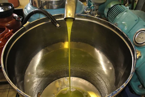 Grecja Attyka Proces Ekstrakcji Oliwy Oliwek Pierwszego Tłoczenia Tłoczni Oliwy — Zdjęcie stockowe