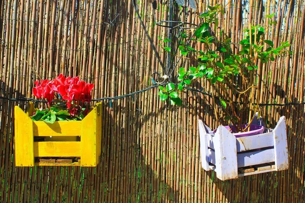 Bahçe Çitlerinde Dekoratif Ahşap Kasalar — Stok fotoğraf