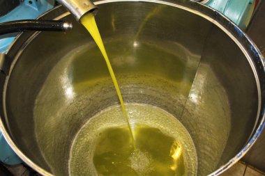 Yunanistan, Attica ve zeytinyağı fabrikasında ekstra bakire zeytin yağı çıkarma süreci.