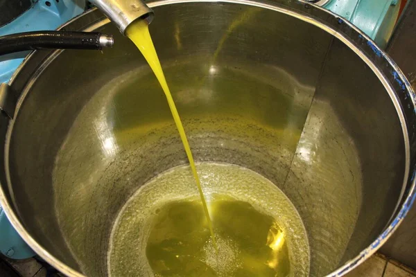 Grecia Ática Proceso Extracción Aceite Oliva Virgen Extra Almazara — Foto de Stock