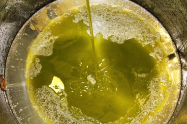 Yunanistan, Attica ve zeytinyağı fabrikasında ekstra bakire zeytin yağı çıkarma süreci.