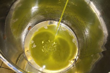 Yunanistan, Attica ve zeytinyağı fabrikasında ekstra bakire zeytin yağı çıkarma süreci.