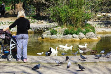 Atina, Yunanistan, 12 Mart 2020 - İnsanlar Ulusal Bahçeler 'deki yapay gölün karşısında güneşli bir günün tadını çıkarıyorlar.
