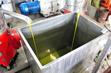 Yunanistan 'daki zeytinyağı fabrikasında ekstra bakire zeytin yağı çıkarma süreci, Kasım 12019.