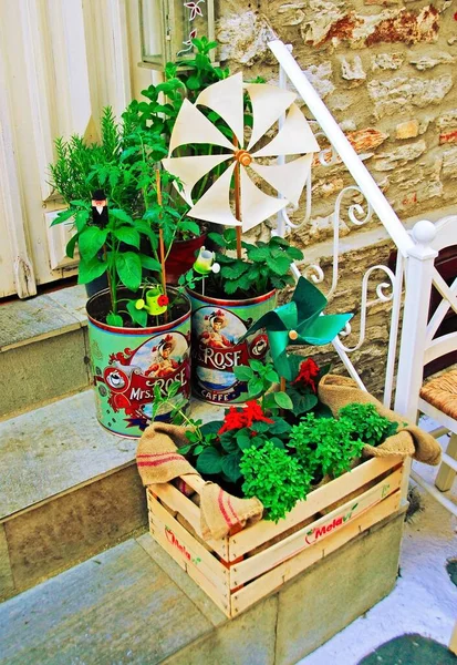 Flower Planters Pots Skiathos Island Greece May 2012 — Stock Photo, Image