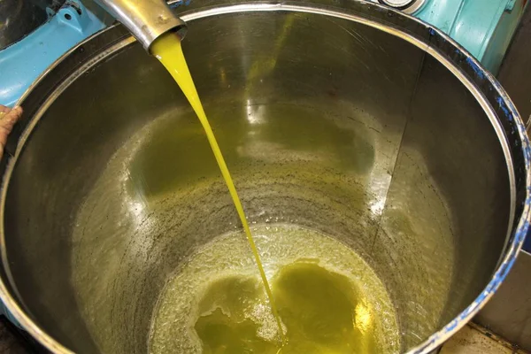 Grecia Ática Proceso Extracción Aceite Oliva Virgen Extra Almazara — Foto de Stock